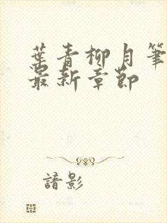 叶青柳月笔趣阁最新章节