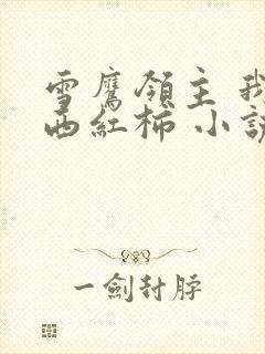 雪鹰领主 我吃西红柿 小说