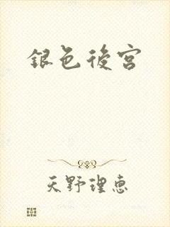 银色后宫封面