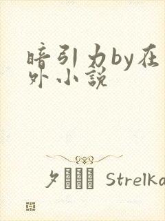 暗引力by在言外小说