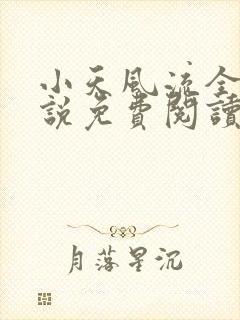 小天风流全集小说免费阅读