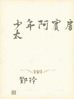 少年阿宾房东太太