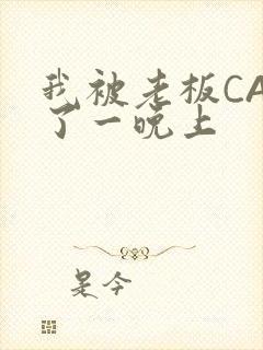 我被老板CAO了一晚上