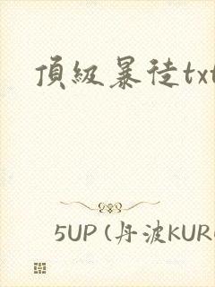 顶级暴徒txt封面