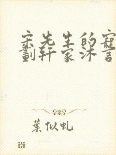 宋先生的宠妻计划轩家沐言封面