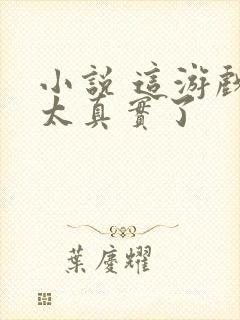 小说 这游戏也太真实了