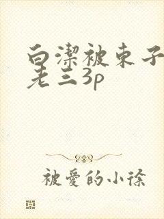 白洁被东子老二老三3p封面
