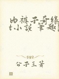 内裤子奇缘txt小说 笔趣阁封面