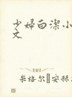 少妇白洁小说全文