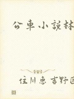 公车小说林蔓蔓