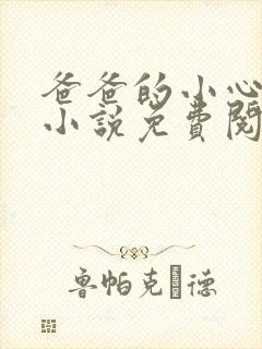 爸爸的小心肝儿小说免费阅读