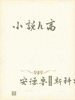 小说h高封面