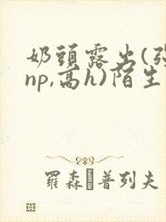 奶头露出(强jnp,高h)陌生人小说小说