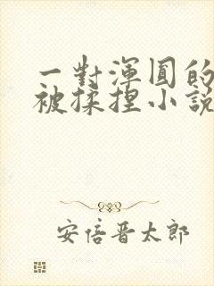 一对浑圆的胸乳被揉捏小说