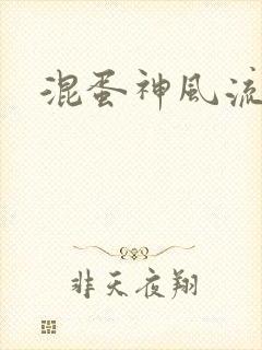 混蛋神风流