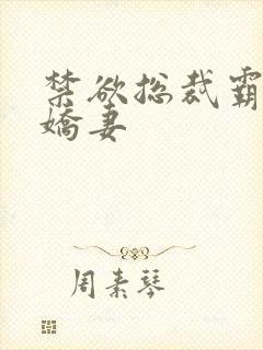 禁欲总裁霸宠小娇妻