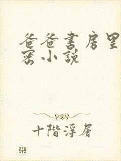 爸爸书房里的秘密小说