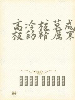 高冷校草成为全校的精厉寒小说封面