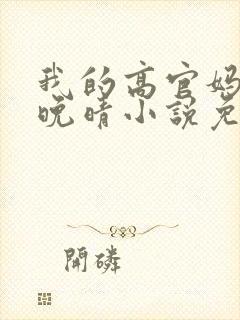 我的高官妈妈苏晚晴小说免费阅读