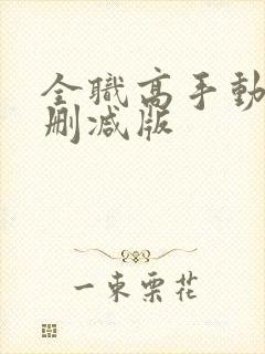 全职高手动漫无删减版