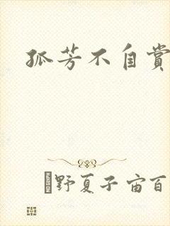 孤芳不自赏小说封面