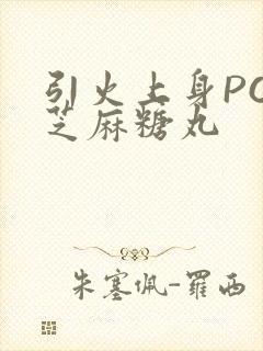 引火上身POP芝麻糖丸封面