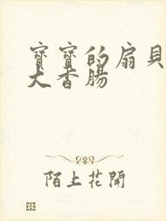 宝宝的扇贝想吃大香肠封面