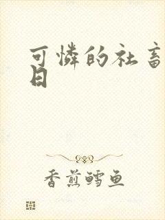 可怜的社畜东度日