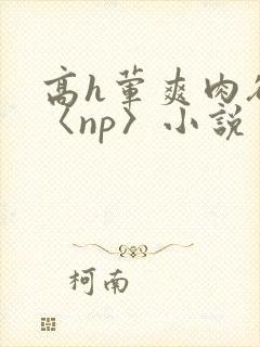 高h荤爽肉欲文〈np〉小说