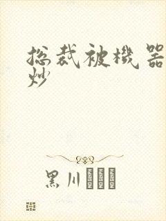 总裁被机器人爆炒封面