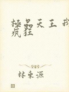 极品天王 我本疯狂