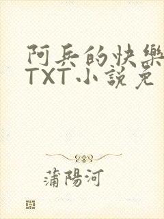 阿兵的快乐生活TXT小说免费阅读全章封面