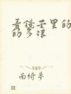 看镜子里的你叫的多浪