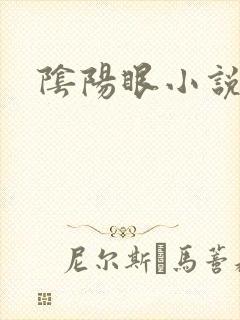 阴阳眼小说