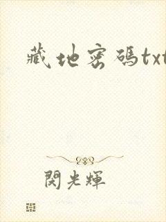 藏地密码txt封面