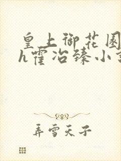 皇上御花园hlh霍冶臻小说