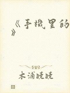 《手机里的秘密》