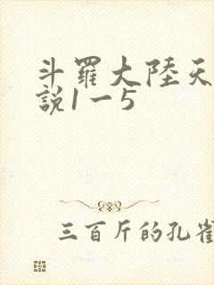 斗罗大陆天狂传说1一5