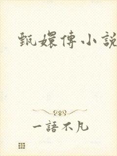 甄嬛传小说封面