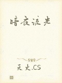 暗夜流光封面