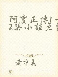 阿宾正传1一72集小说免费阅读