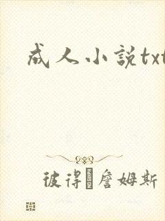成人小说txt