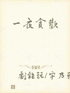 一夜贪欢封面