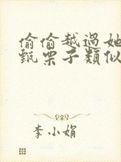 偷偷越过她by甄栗子类似小说