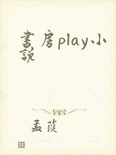 书房play小说