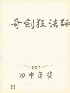 奇剑狂法师封面