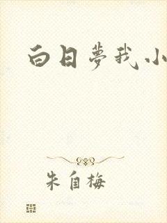 白日梦我小说