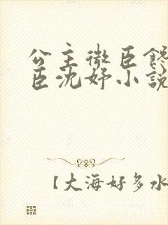 公主微臣馋了微臣沈妤小说