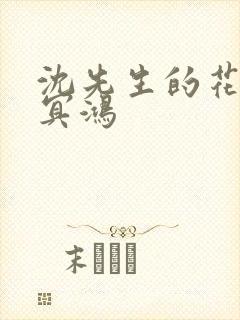 沈先生的花式调冥鸿