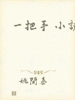 一把手 小说封面